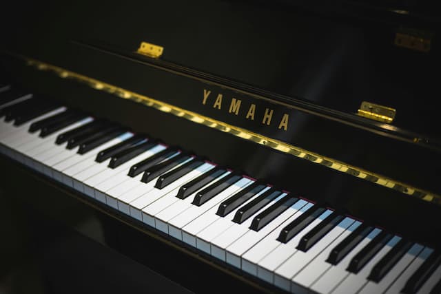Musical Learning Piano
